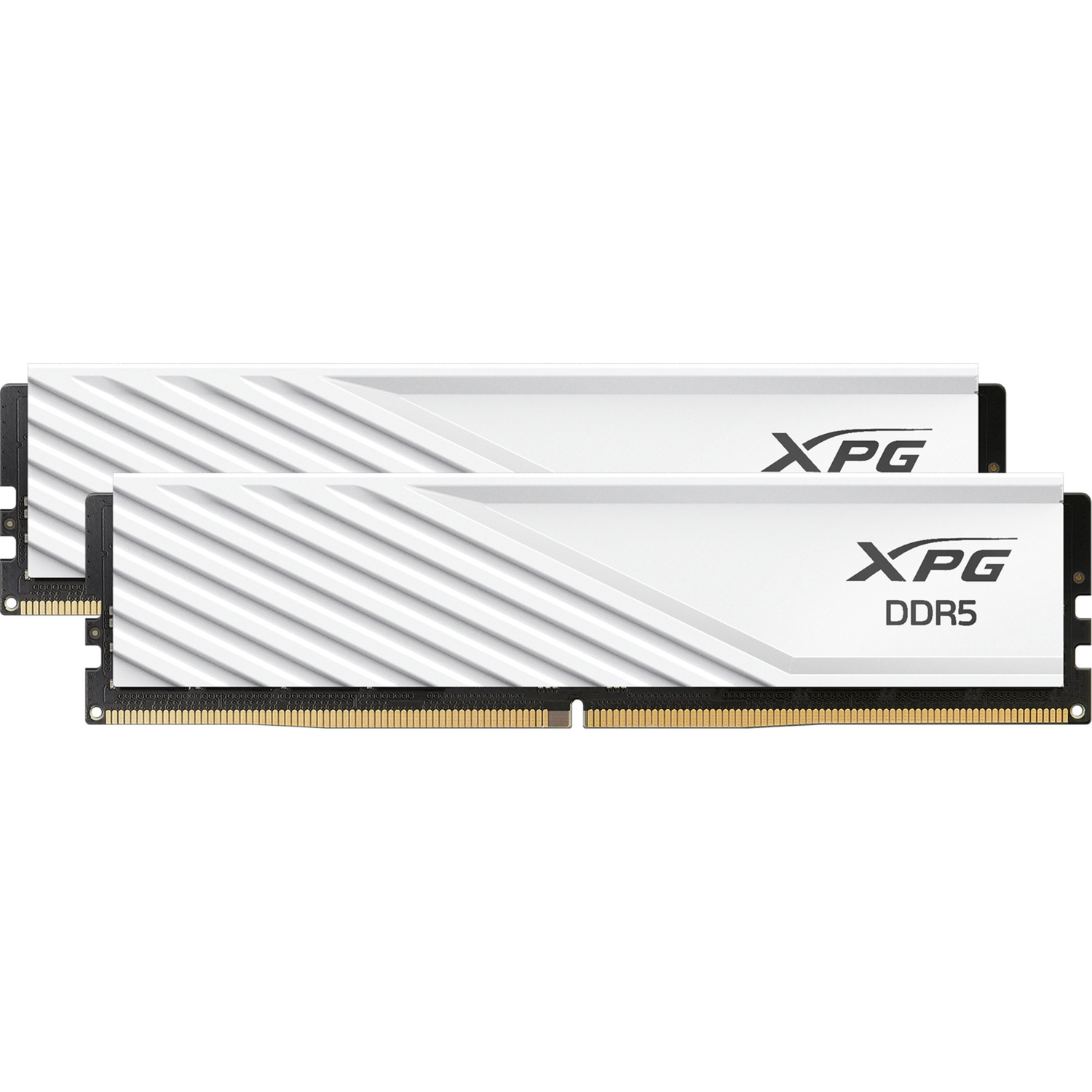 ADATA 64 GB DDR5-6000