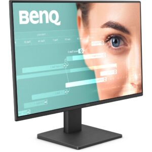 BenQ GW2491