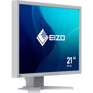 EIZO FlexScan S2134