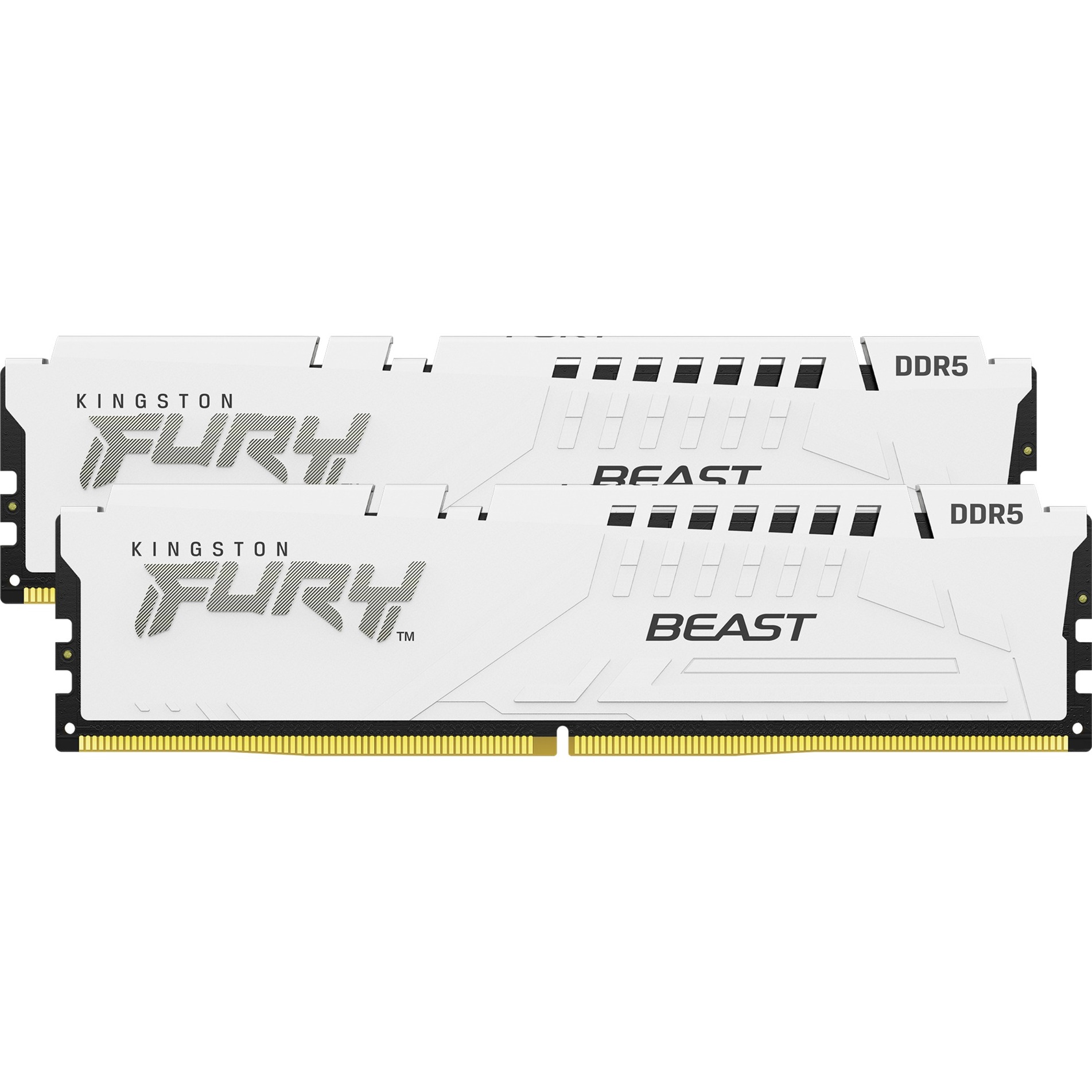 Kingston FURY 32 GB DDR5-5600
