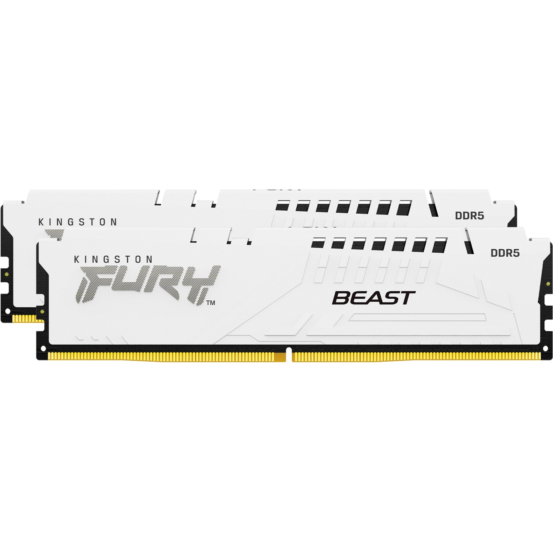 Kingston FURY 32 GB DDR5-6000