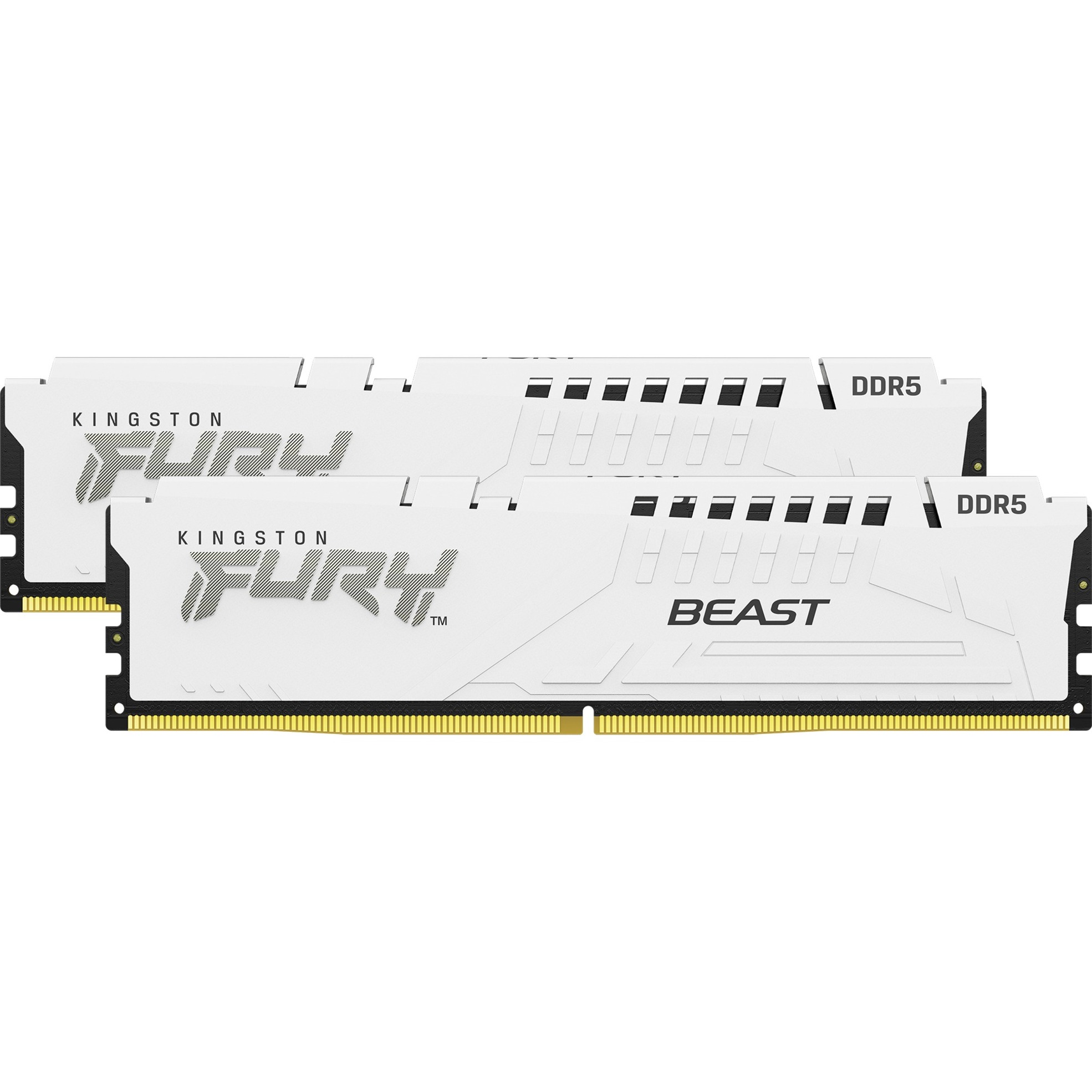 Kingston FURY 64 GB DDR5-5200