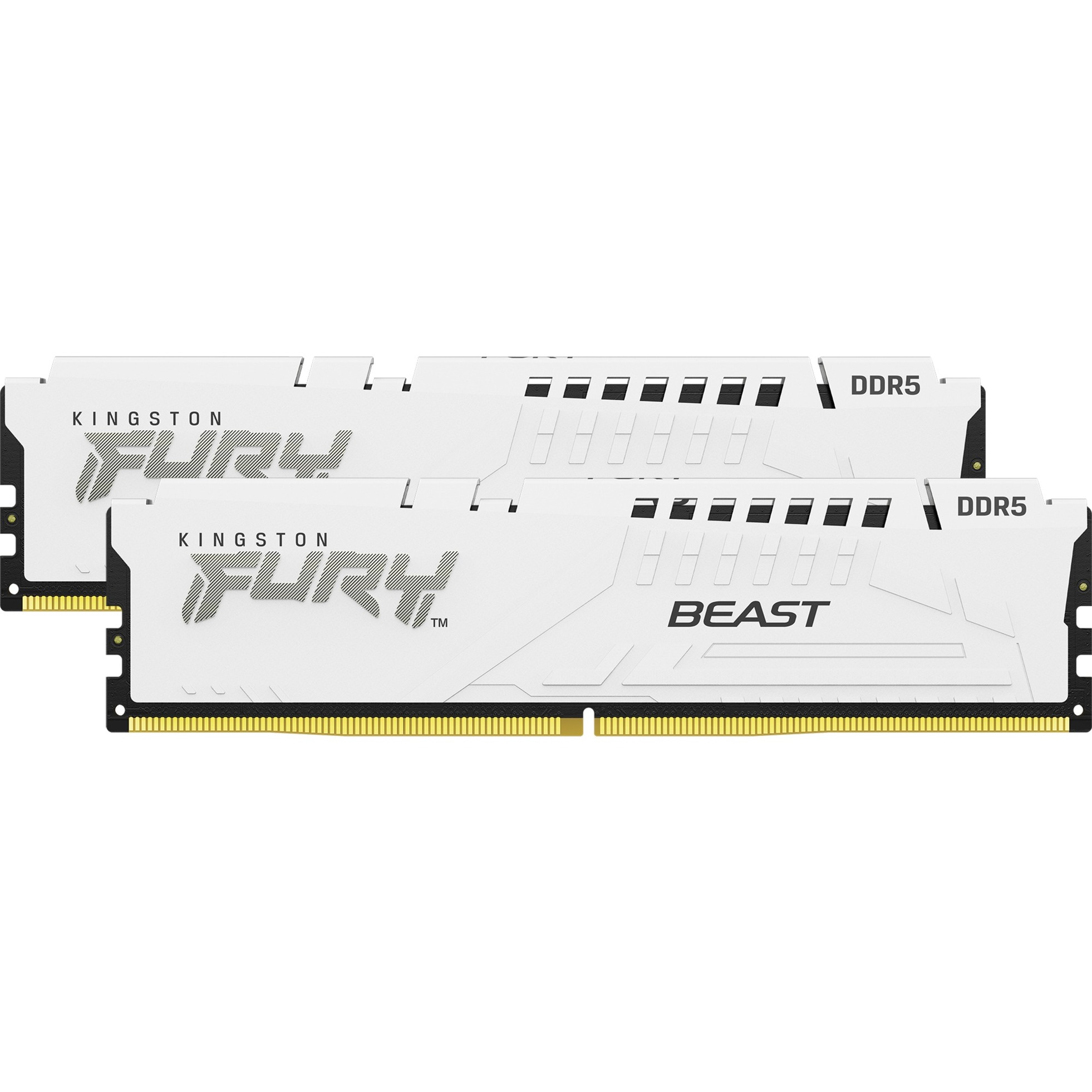 Kingston FURY 64 GB DDR5-5600