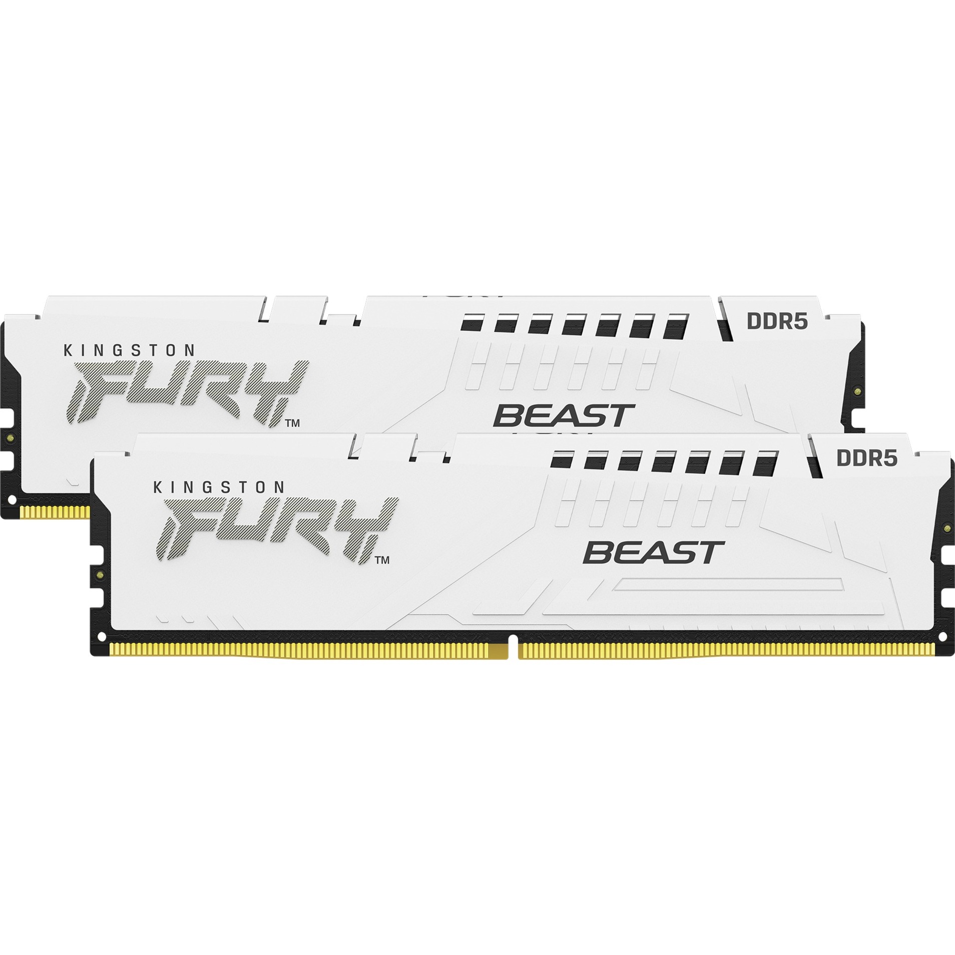 Kingston FURY 64 GB DDR5-6000