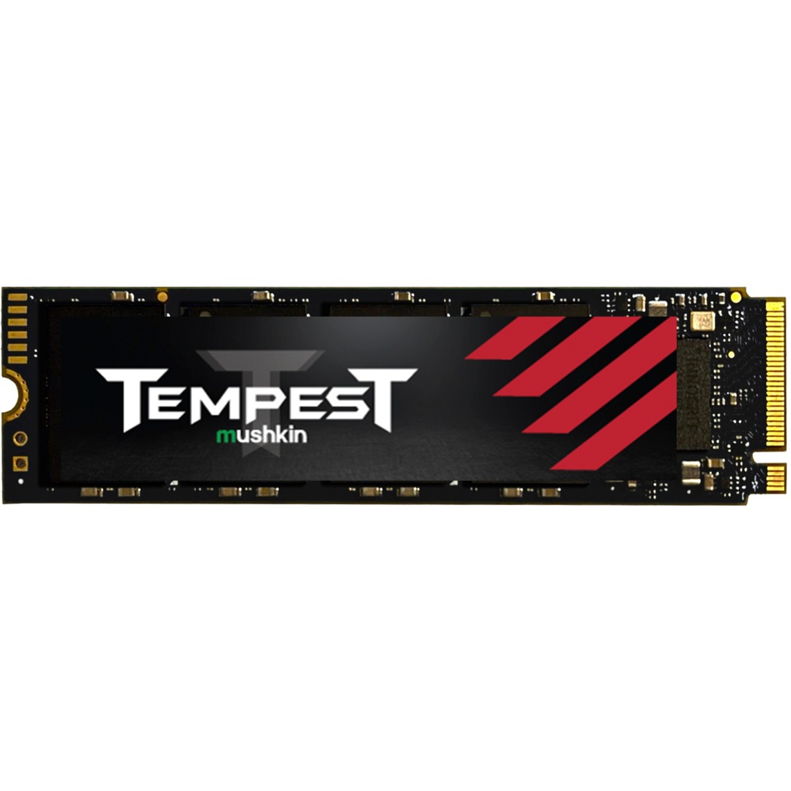 Mushkin Tempest 256 GB – Image 2