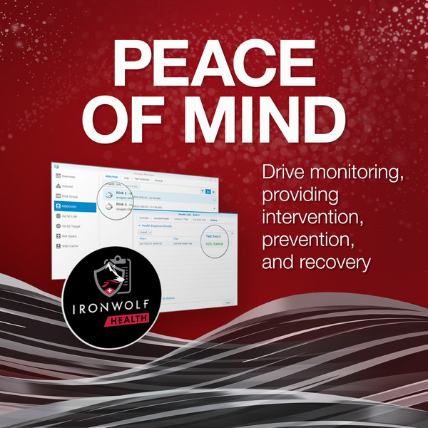 UGREEN DH2300 Bundle avec 2x Seagate IronWolf NAS 4 TB CMR – Image 3