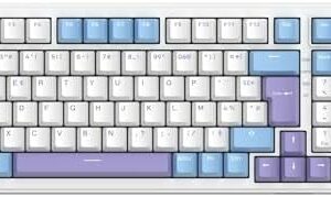 SteelSeries Apex 3 V5