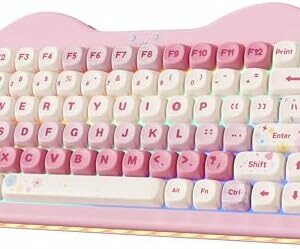 non communiqué Clavier mécanique DK61 bluetooth dual mode